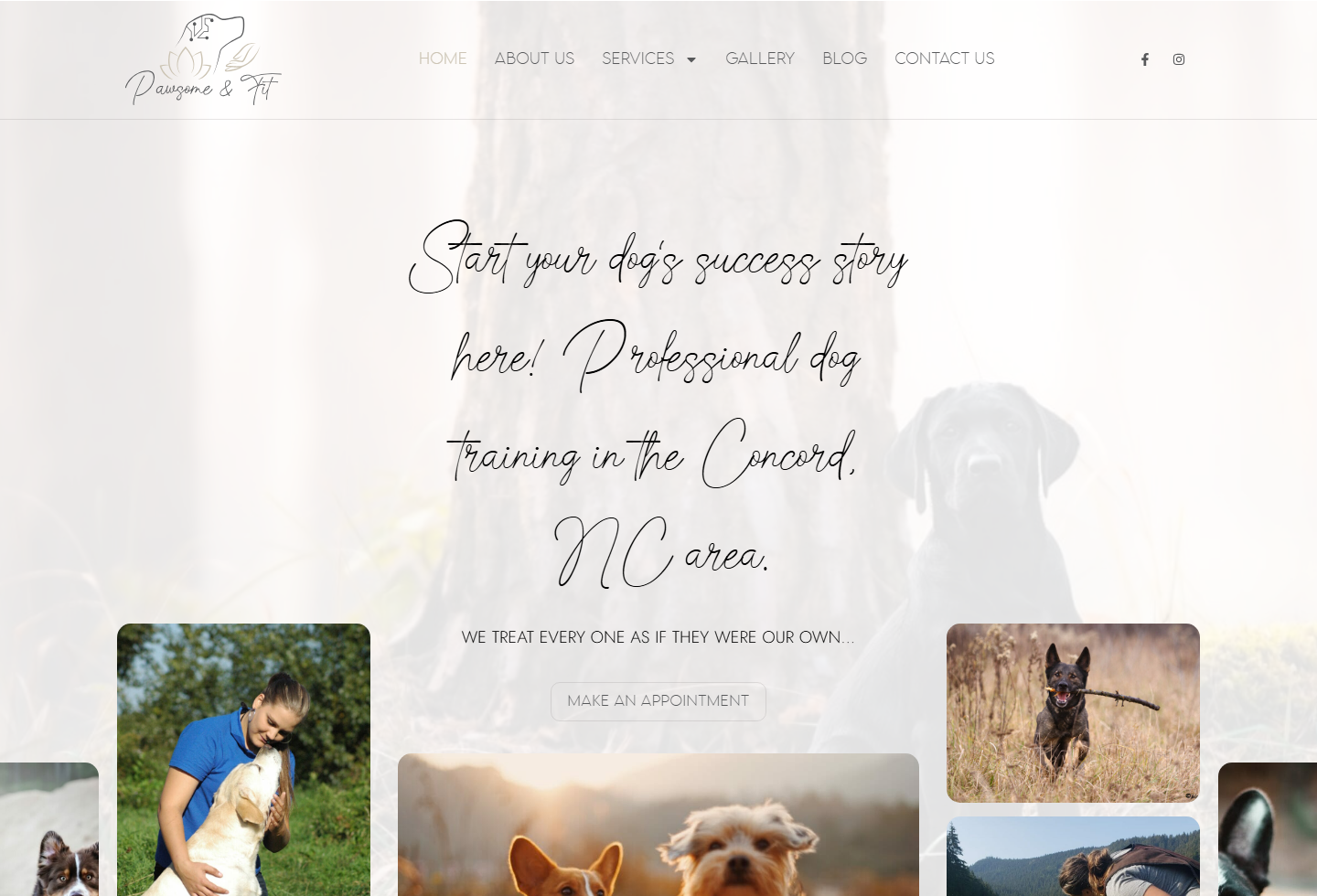 Pawsome & Fit website thumbnail