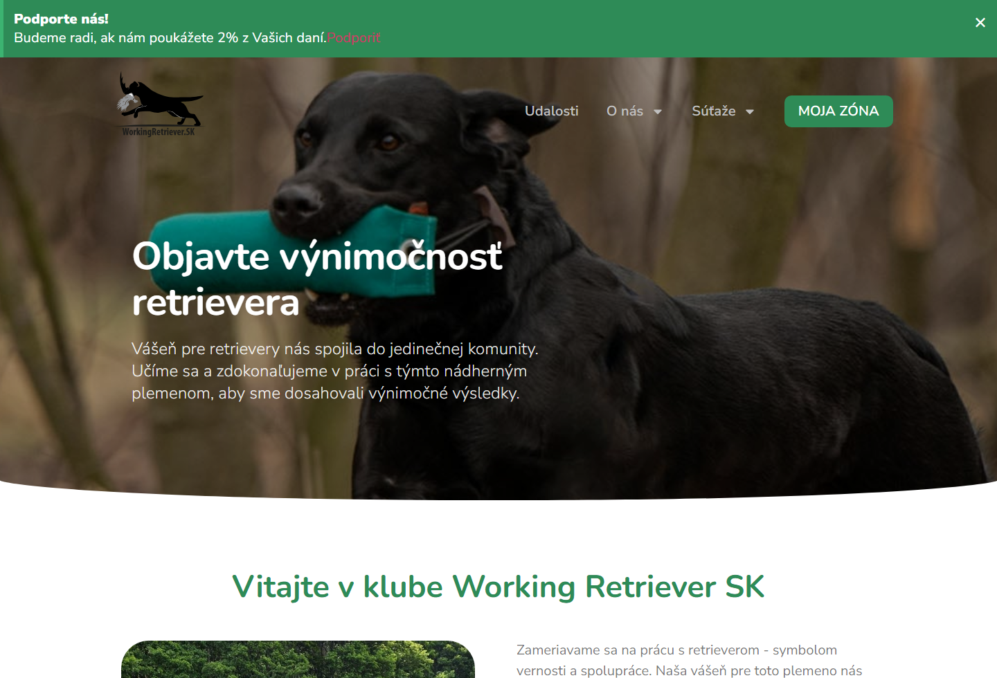 Working Retriever website thumbnail